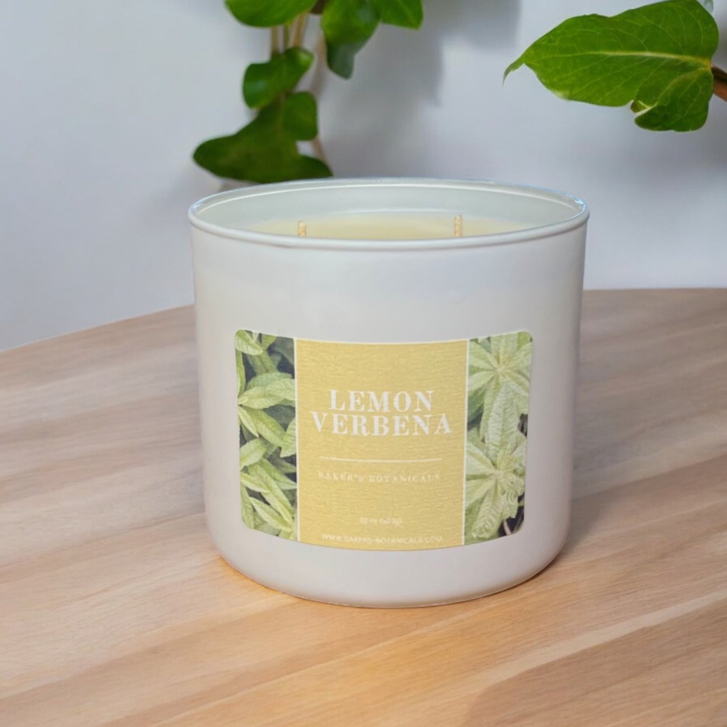 Lemon Verbena